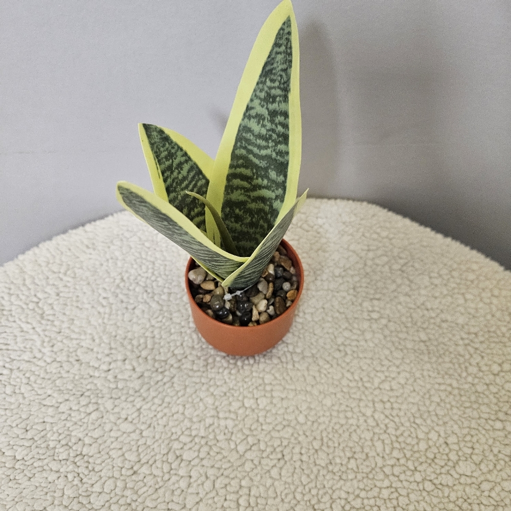 Green and Yellow Reptile Plant Decor - Picture 6 of 8